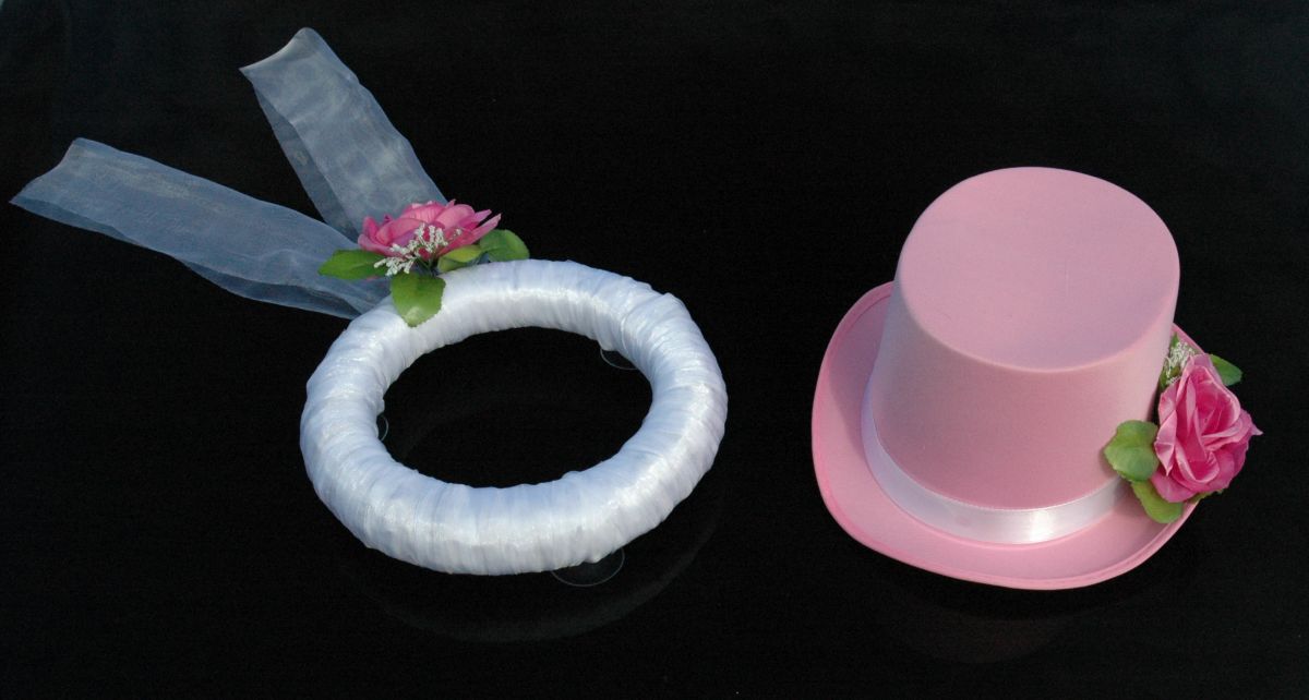 Rosa Rosa 2